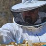 Beekeeping in Maine 🐝 🍯 🐝 profil fotoğrafı