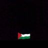 Mohamed Metwalli's profile picture