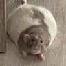 Blank's profile picture