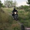 Фото профиля Hamdi Dede🇹🇷🐺🤘🇹🇷🇹🇷🇹🇷🇹🇷🤘🐺