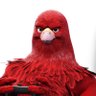 Pombo's profile picture