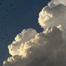 Фото профиля غيم 🎵☁️.