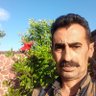 عبدالله الموسوی's profile picture