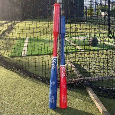 Thick Grip Training Bat's profile picture