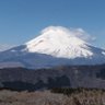 Фото профиля ひまわり
