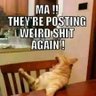 Hey's profile picture