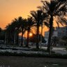Фото профиля أبوسعد