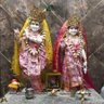 Priya yadav 04's profile picture