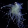 Фото профиля Earth_Is_Divine