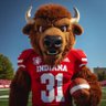 The Hoosier Bison's profile picture