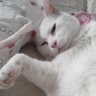 水木 profil fotoğrafı