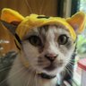 jimbo_gaming_official's profile picture