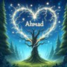 Фото профиля Ahmad 🗨️