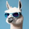 Melli's profile picture