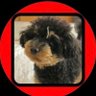 ãã¡ã's profile picture
