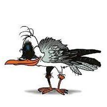 NogrebLeon's profile picture