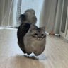 聆听者 profil fotoğrafı