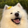 Profilbild von Delia