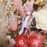 しぃちゃꕤ︎︎·͜· 的头像