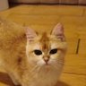 bilibilipa profil fotoğrafı