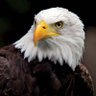 Nathi profil fotoğrafı