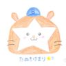 🐹たぬきけまり🦙。's profile picture
