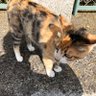 あーる's profile picture