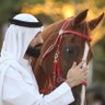 الحتال 的头像
