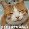 ケンちゃん's profile picture