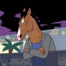 Profilbild von Bojack Hussmen