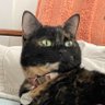 Profilbild von Vince