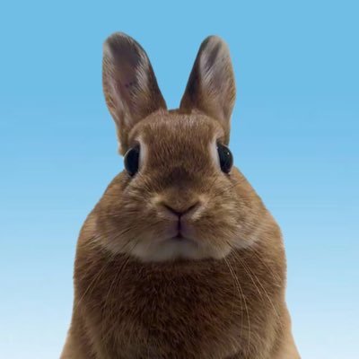 0610marron's profile picture