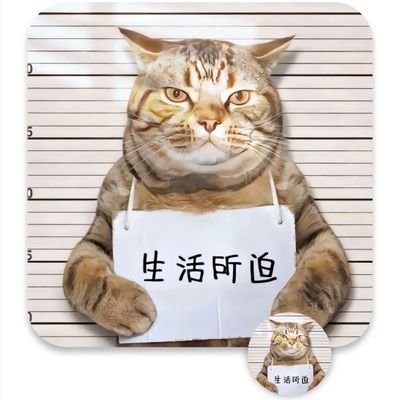 erqishiliuhu's profile picture