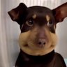 Linkin's profile picture