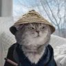 YUKI Samurai Cat ⚔️🐱 的头像