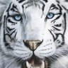 Profilbild von rafa