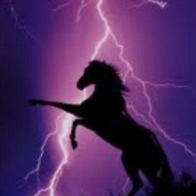 boxepopuli's profile picture