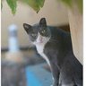 HD🍓🐱's profile picture
