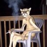 Pablo sublimados's profile picture