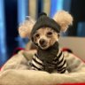Profilbild von Bunny Kosow