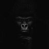 Carlos Moreno's profile picture
