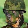 Profilbild von Arpalo. 100
