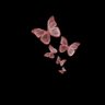 Ⓑⓔⓑⓞ🦋 的头像