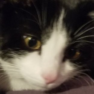 Delca's profile picture