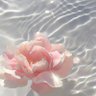 Yun he Zhao profil fotoğrafı