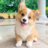 ãã颚's profile picture