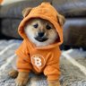 Syed Crypto 🐂 Bull (ᛤ) 🐶's profile picture
