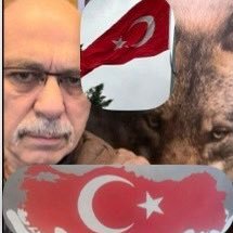 Namider Gülen's profile picture