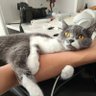 祝逸飛 profil fotoğrafı