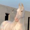 Фото профиля Ali